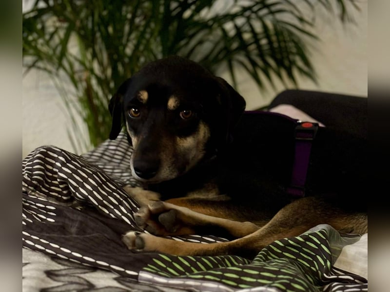 Elke - eine sensible Begleiterin