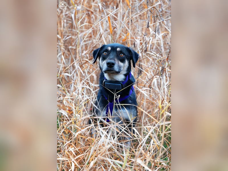 Elke - eine sensible Begleiterin