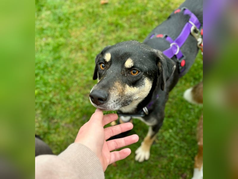 Elke - eine sensible Begleiterin