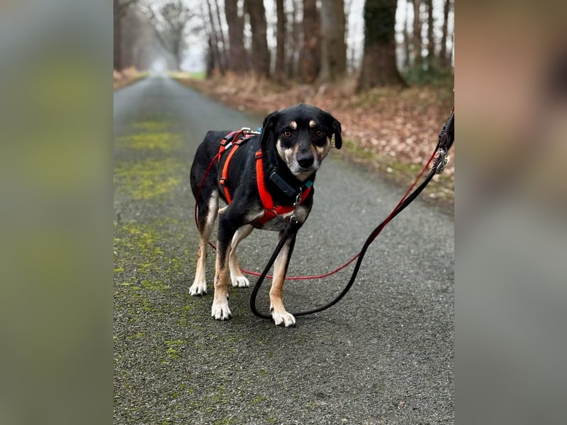 Elke - eine sensible Begleiterin