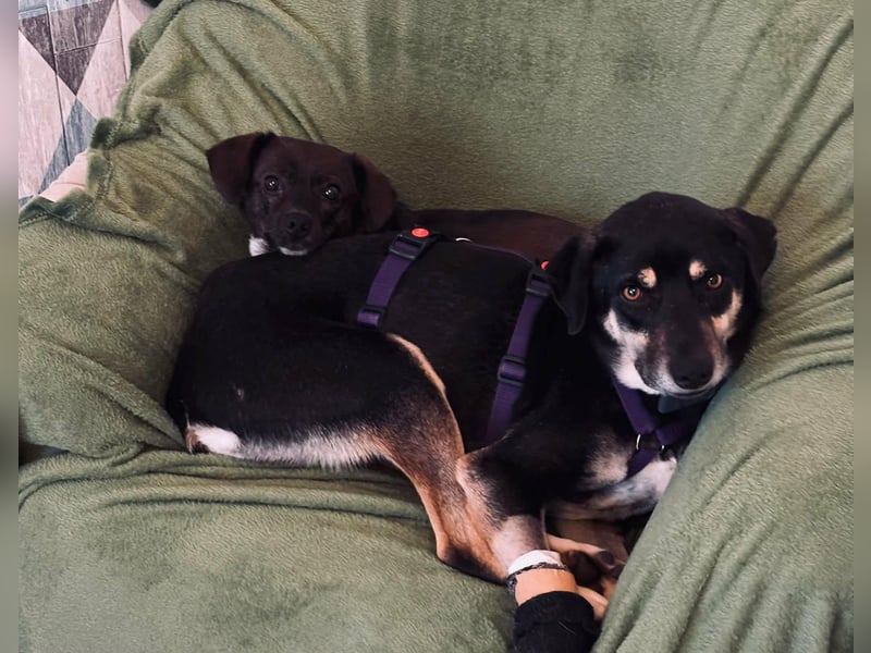 Elke - eine sensible Begleiterin