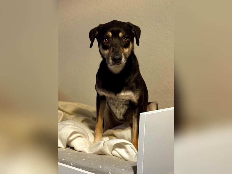 Elke - eine sensible Begleiterin