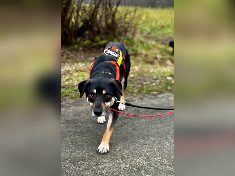 Elke - eine sensible Begleiterin