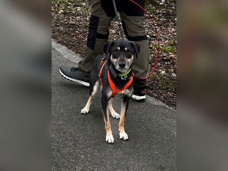 Elke - eine sensible Begleiterin