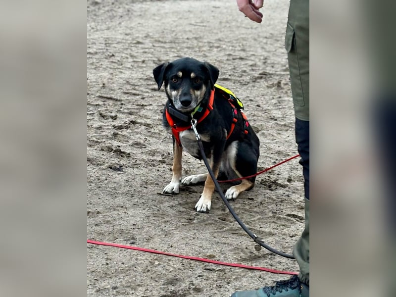 Elke - eine sensible Begleiterin