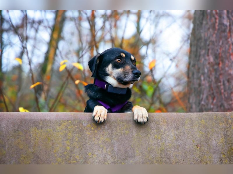 Elke - eine sensible Begleiterin