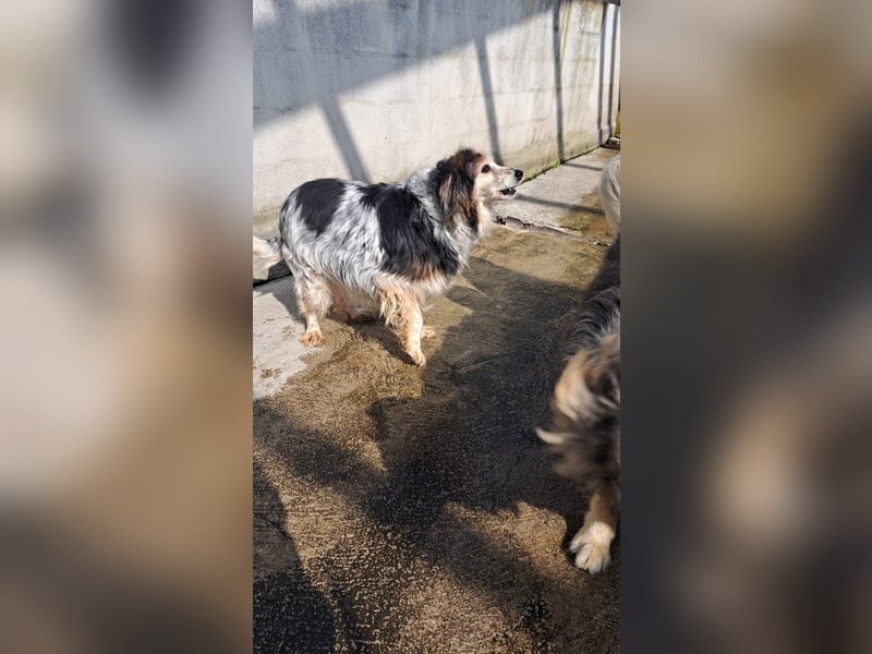 Robby sucht sein Gnadenplätzchen