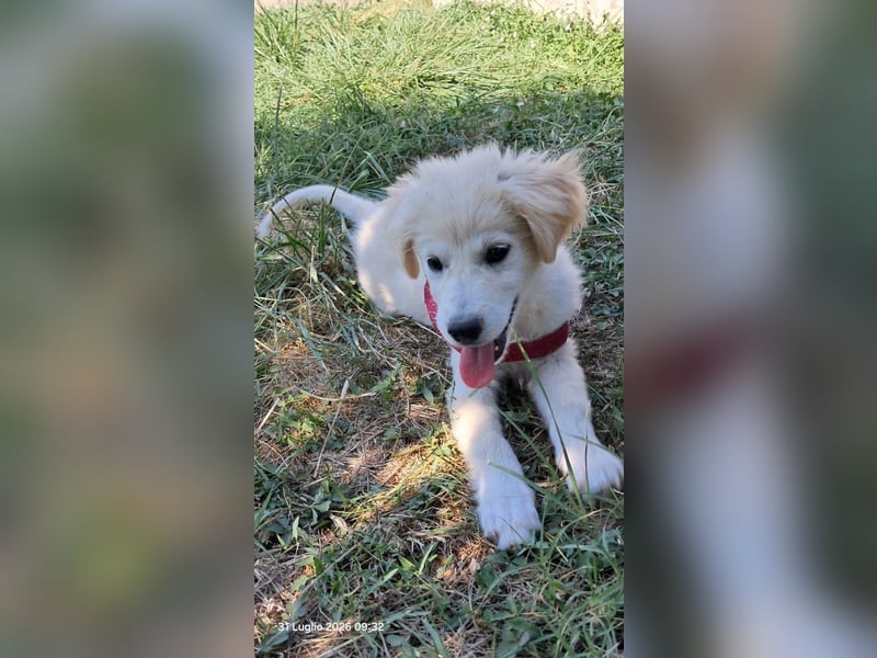 Molly sucht ihre Herzensmenschen