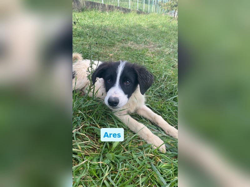 Ares möchte ankommen