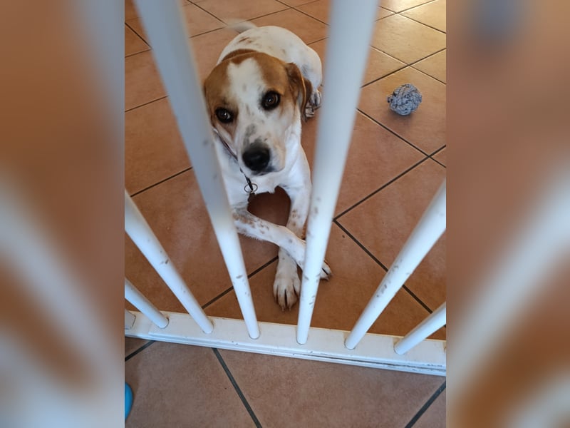 Cuba sucht ihr Glück