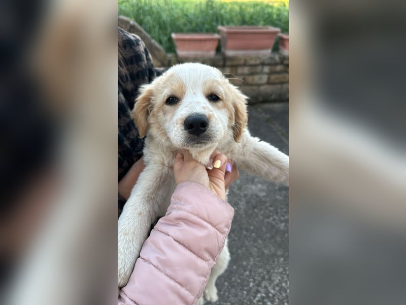 Giada sucht ihre Familie