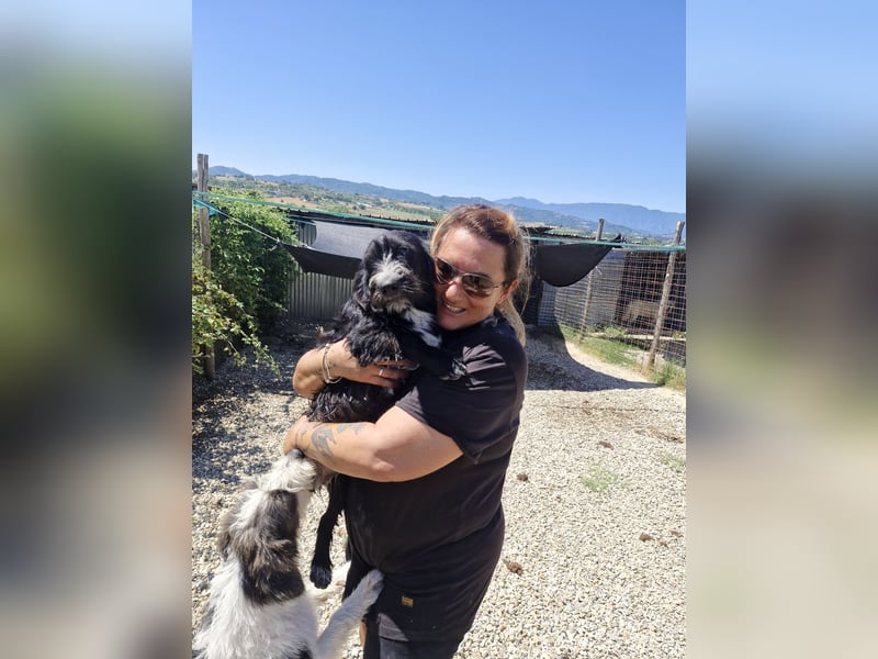 Carmelita sucht ihr für immer Zuhause