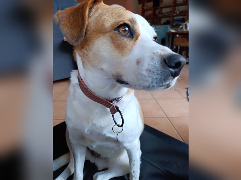 Cuba sucht ihr Glück