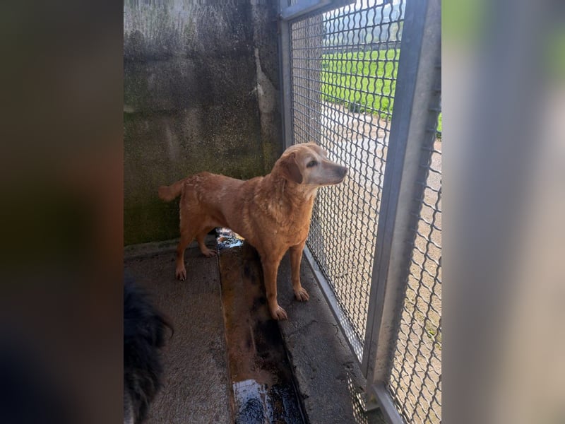 Briciola möchte ankommen