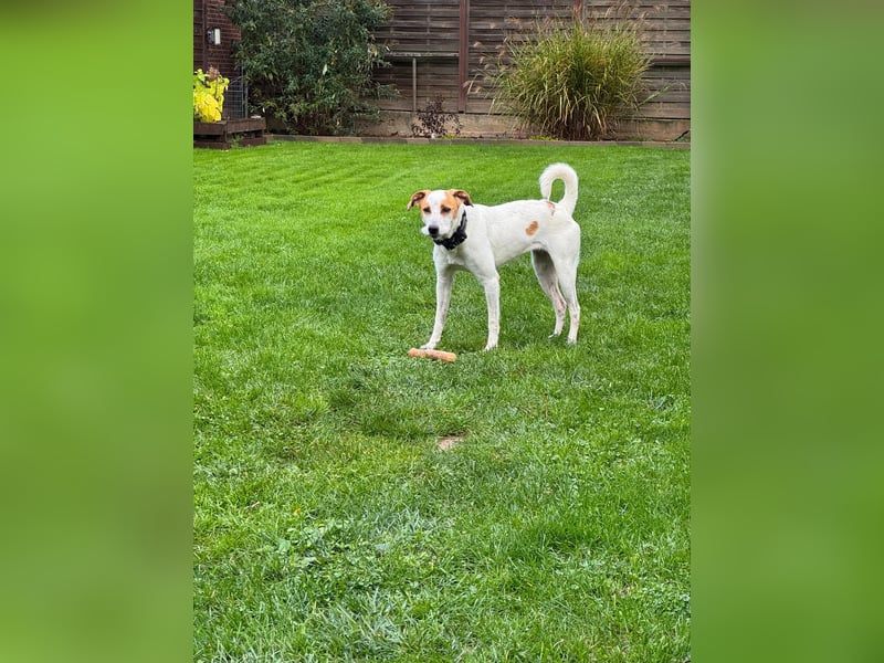 Berna sucht ihre Familie