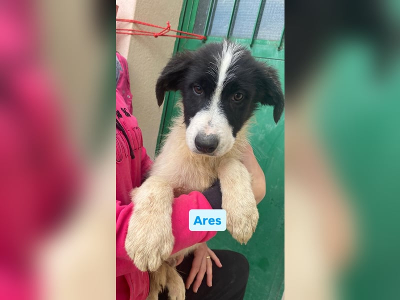 Ares möchte ankommen