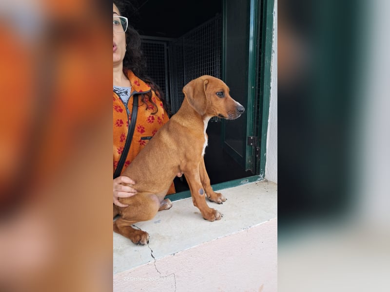 George sucht sein Glück