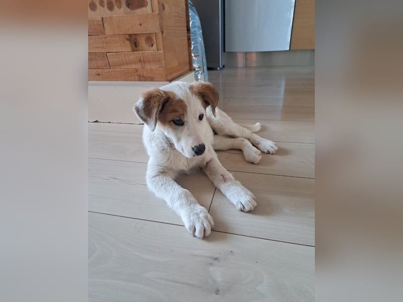Maddy sucht ihre Herzensmenschen