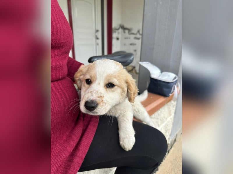 Giada sucht ihre Familie