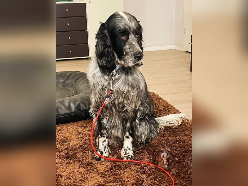 Matteo sucht seine Menschen