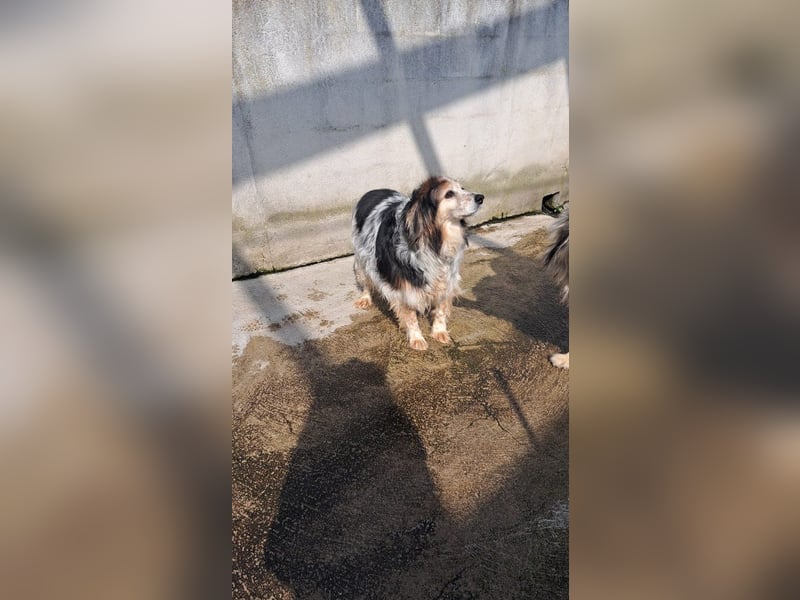 Robby sucht sein Gnadenplätzchen