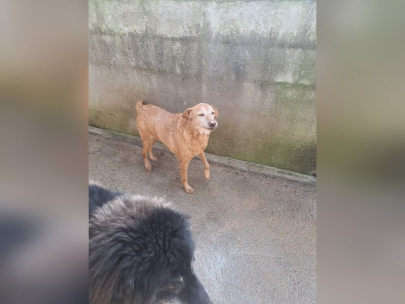 Briciola möchte ankommen