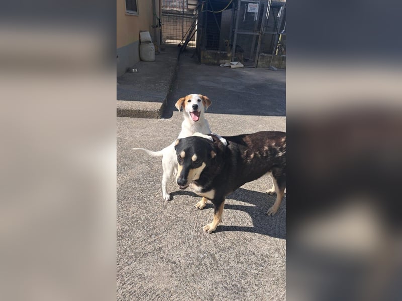 Maddy sucht ihre Herzensmenschen