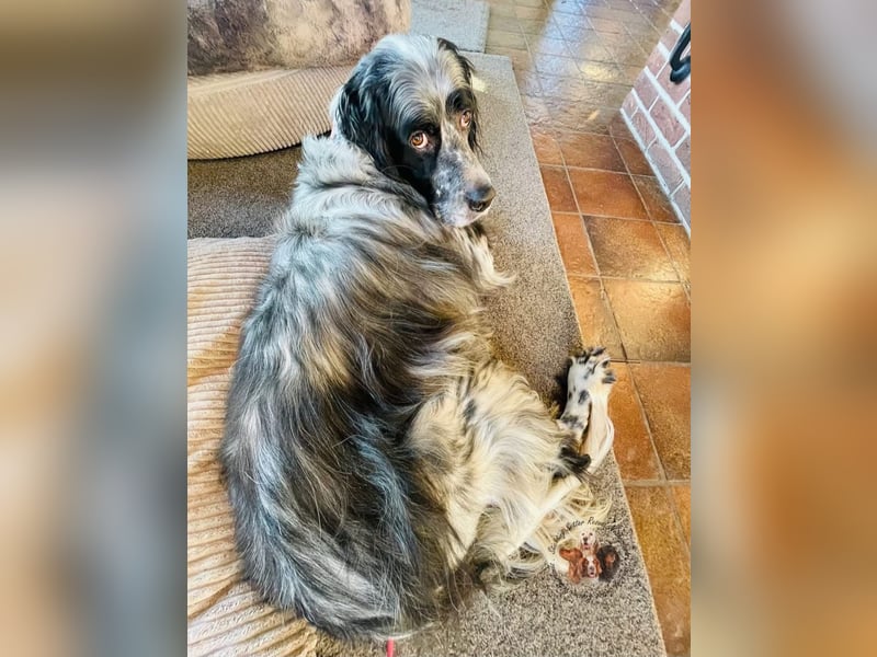 Matteo sucht seine Menschen