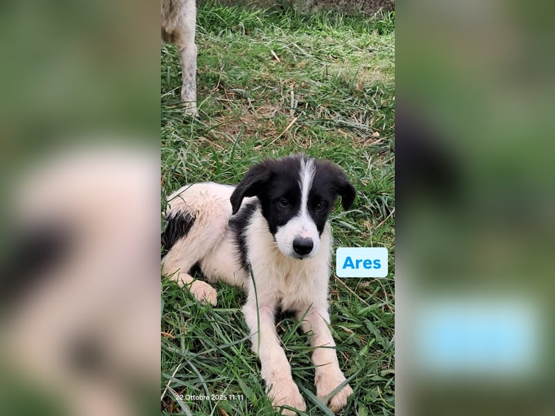 Ares möchte ankommen