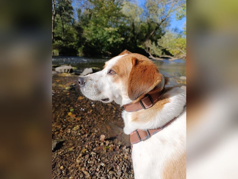 Cuba sucht ihr Glück