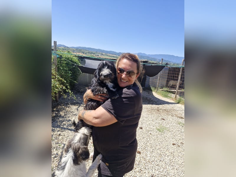 Carmelita sucht ihr für immer Zuhause
