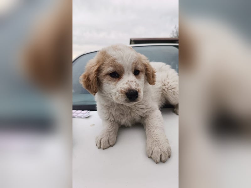 Giada sucht ihre Familie