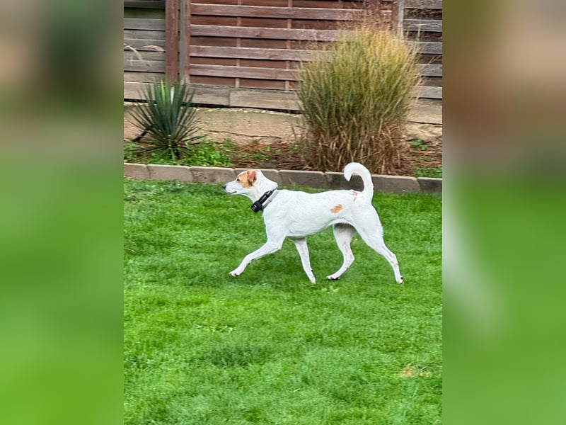 Berna sucht ihre Familie