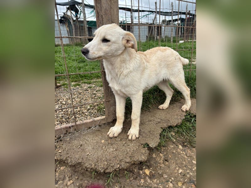 Dorotea sucht ihre Menschen