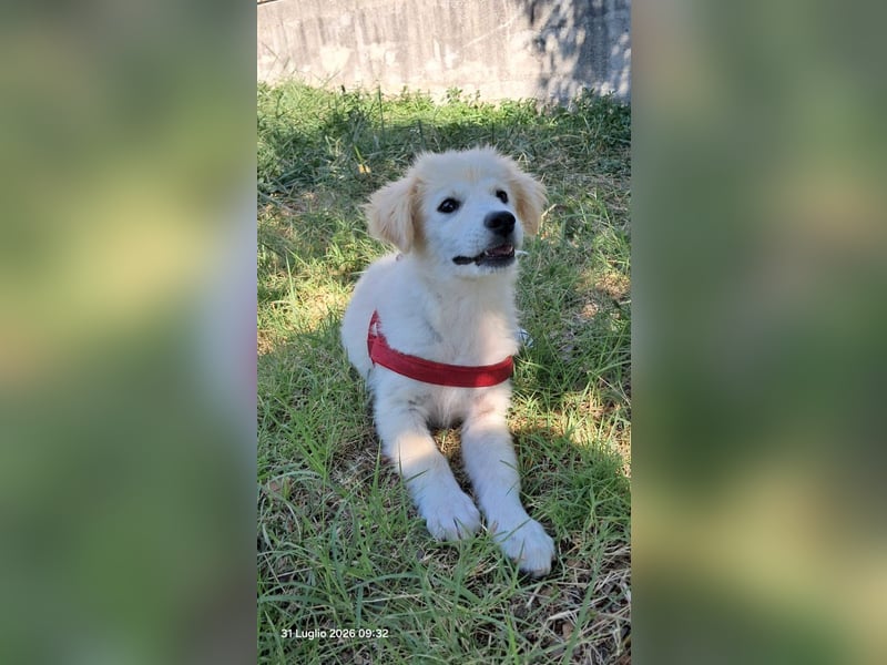 Molly sucht ihre Herzensmenschen