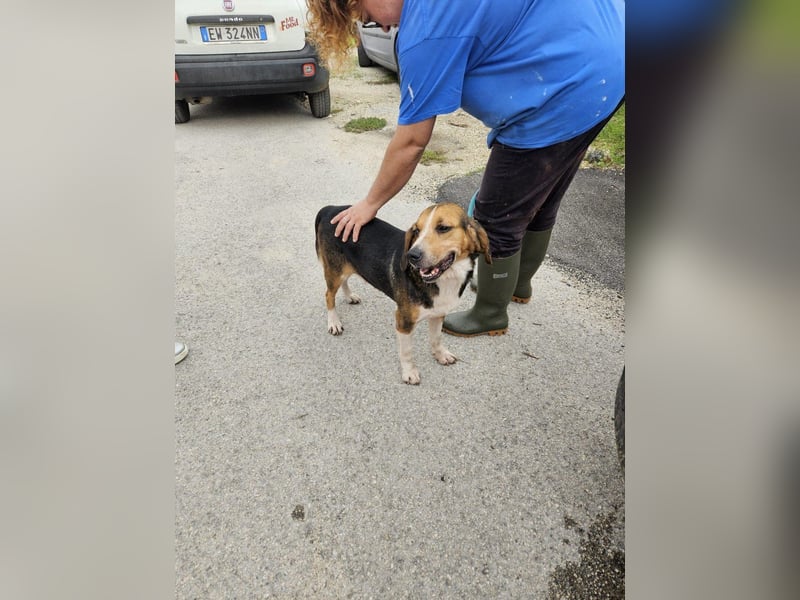 Daniele sucht sein Glück