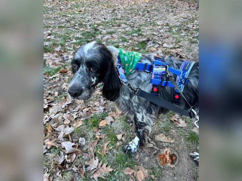 Matteo sucht seine Menschen