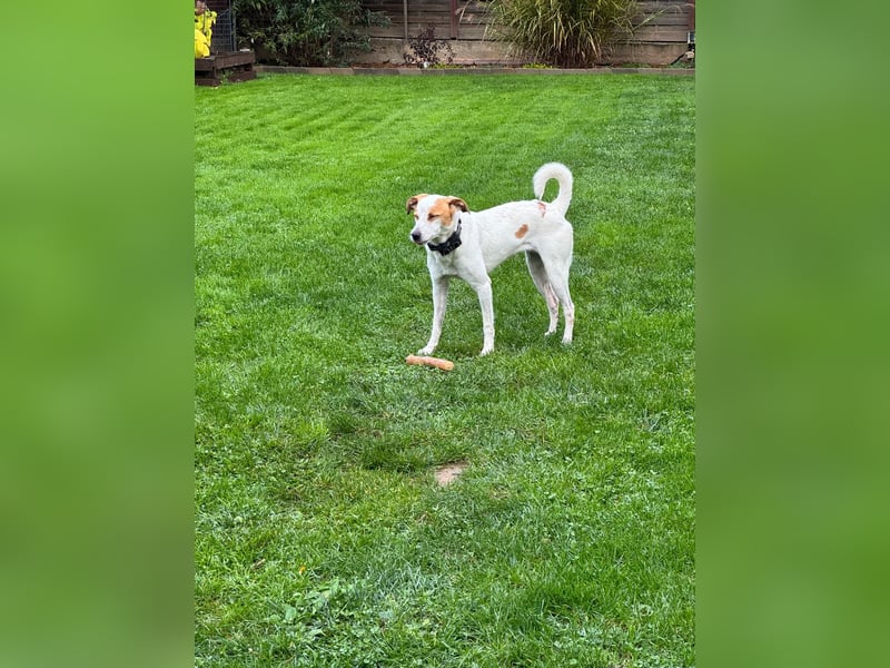 Berna sucht ihre Familie