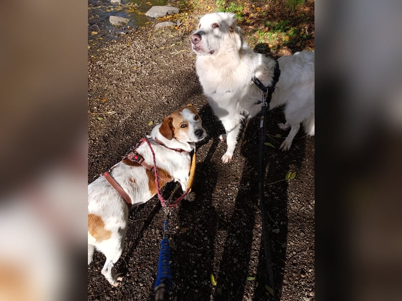 Cuba sucht ihr Glück