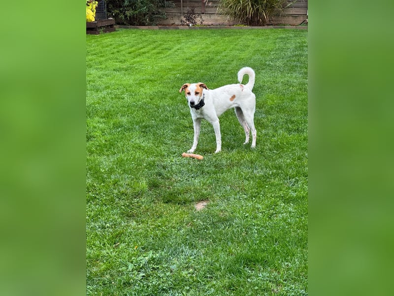 Berna sucht ihre Familie