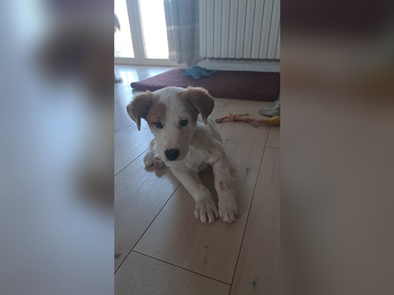 Maddy sucht ihre Herzensmenschen