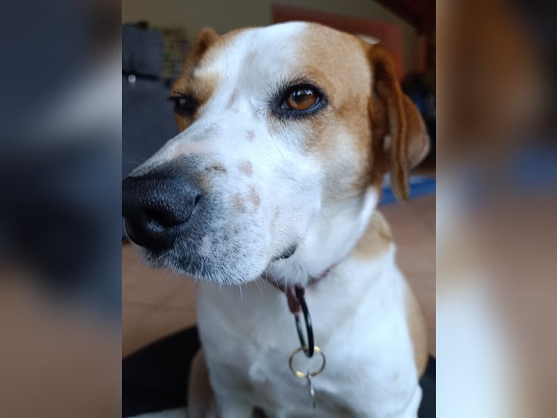 Cuba sucht ihr Glück