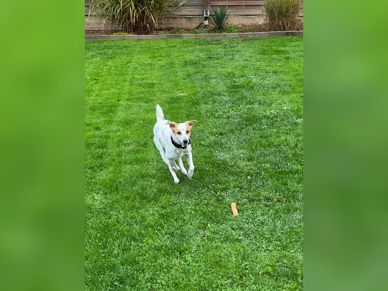 Berna sucht ihre Familie