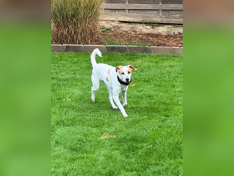 Berna sucht ihre Familie