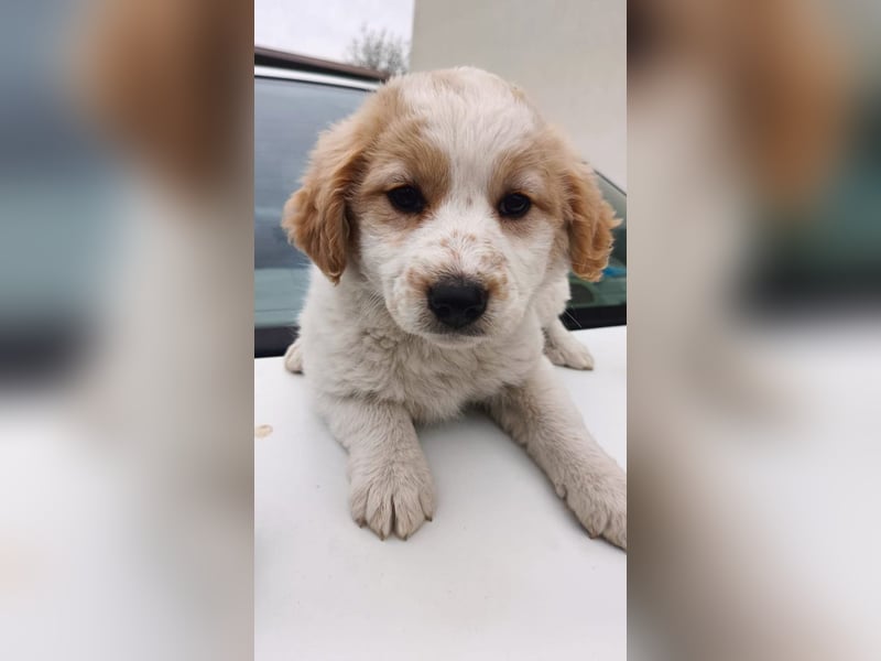 Giada sucht ihre Familie