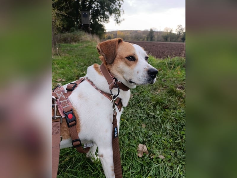 Cuba sucht ihr Glück