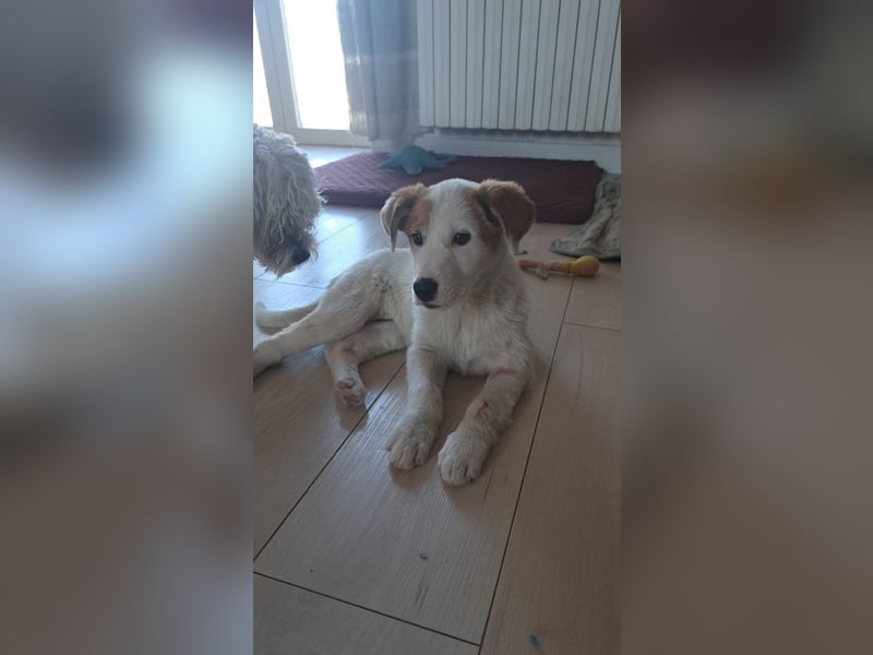 Maddy sucht ihre Herzensmenschen