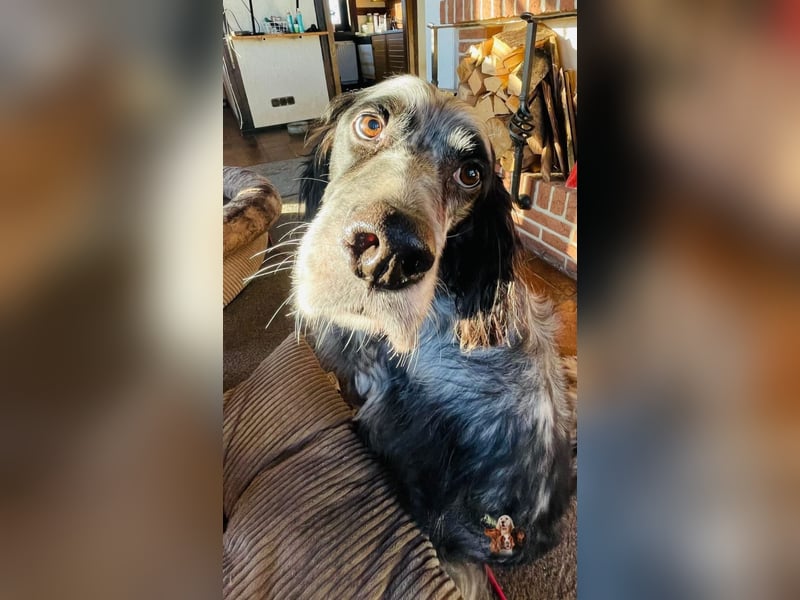 Matteo sucht seine Menschen