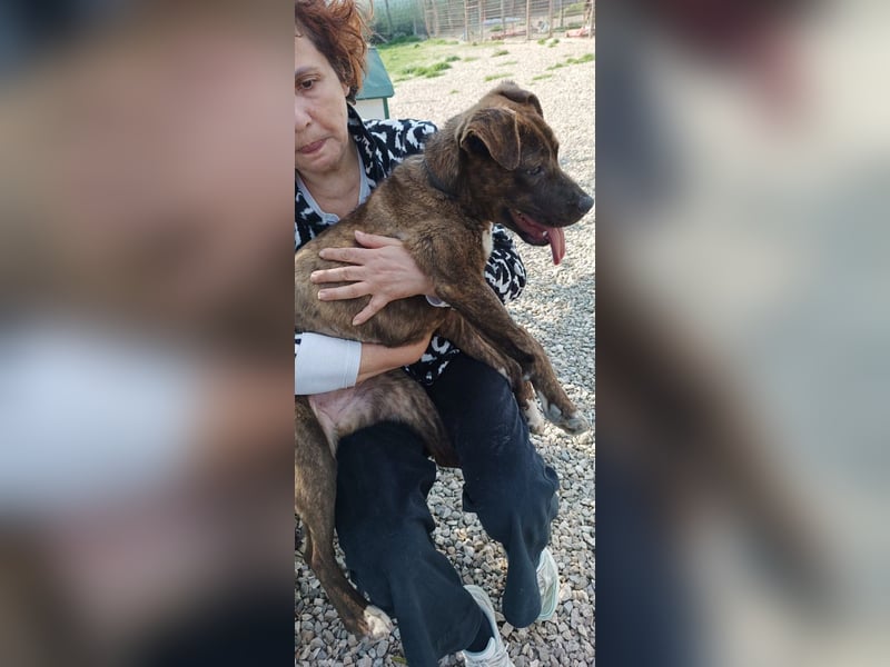 Solange sucht ihre Menschen