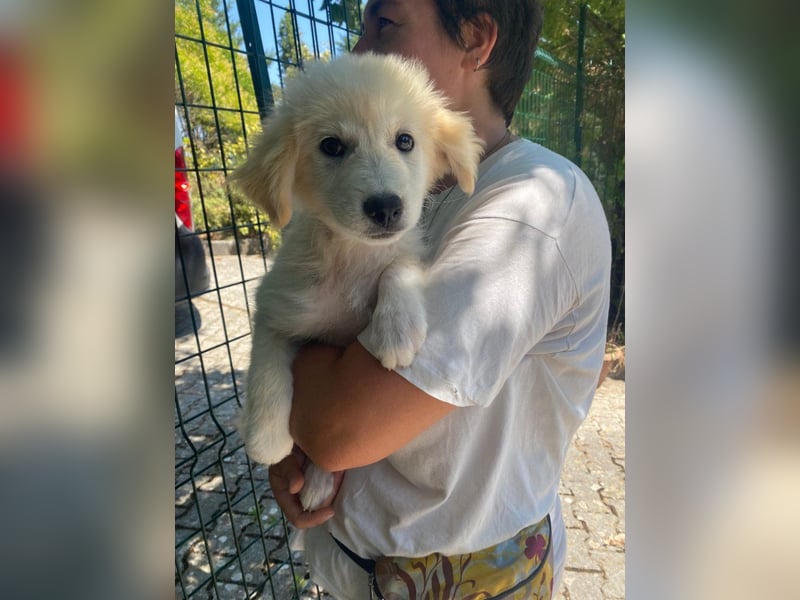 Molly sucht ihre Herzensmenschen
